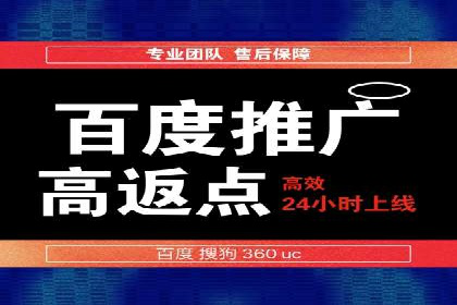 SEM代运营服务公司成功案例解析